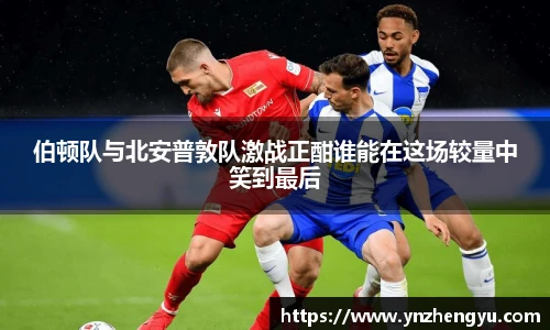 3377体育官网