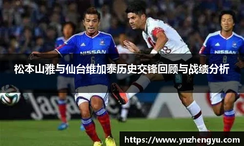 3377体育官网