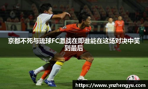 3377体育官网